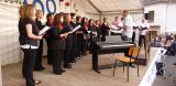 Serenade_2012